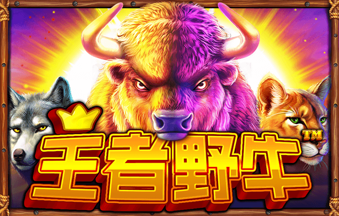 9555cc开元下载旧版本